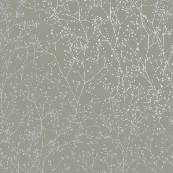 Gypsophila Wallpaper 120388 by Clarissa Hulse in Spring Green Silver