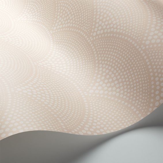 Feather Fan Wallpaper 10035 by Cole & Son in Ballet Slipper Pink