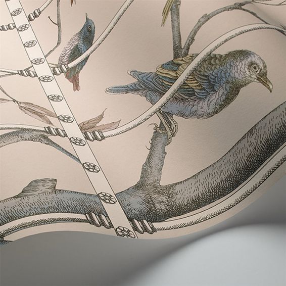 Uccelli Wallpaper Panel 11022 by Cole & Son in Ballet Slipper