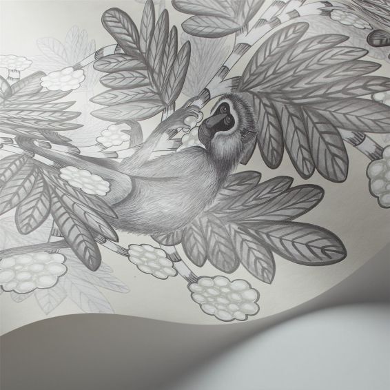 Acacia Wallpaper 11053 by Cole & Son in Soot Snow