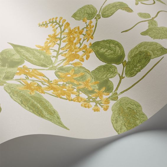 Madras Violet Wallpaper 100 12059 by Cole & Son in Yellow