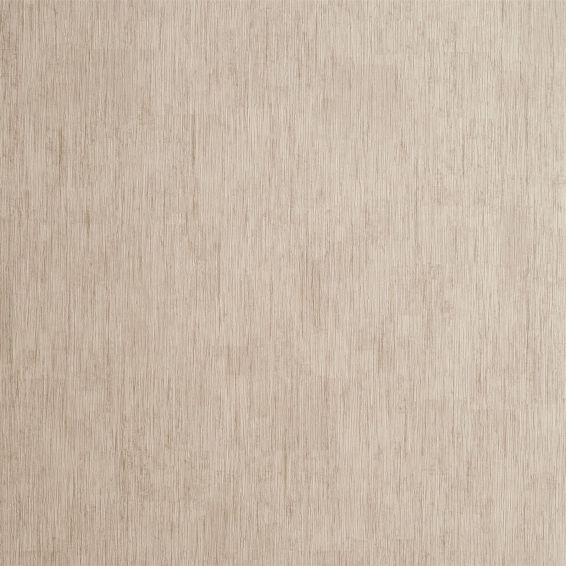 Rafi Wallpaper W0060 10 by Clarke and Clarke in Taupe Grey