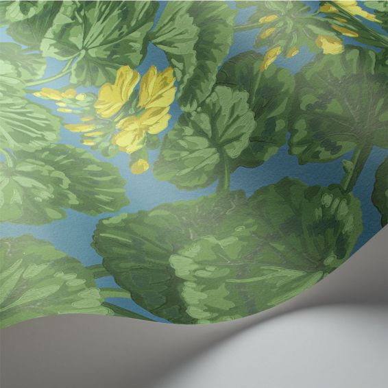 Geranium Wallpaper 11032 by Cole & Son in Electric Blue