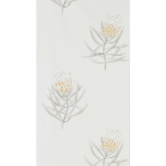 Protea Flower Wallpaper 216328 by Sanderson in Daffodil Natural