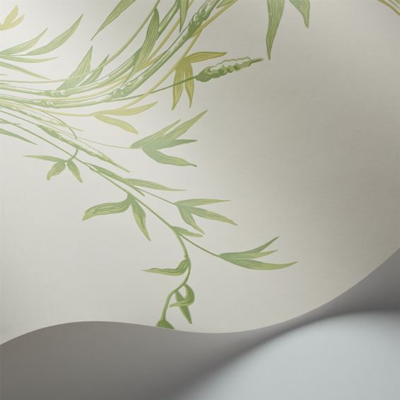 Bamboo Wallpaper 100 5023 by Cole & Son in Green