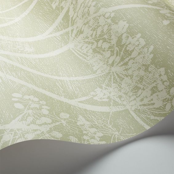 Cow Parsley Wallpaper 8029 by Cole & Son in Olive Green