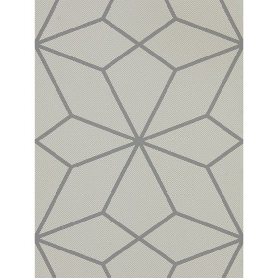 Axal Wallpaper 111981 by Harlequin in Slate Grey