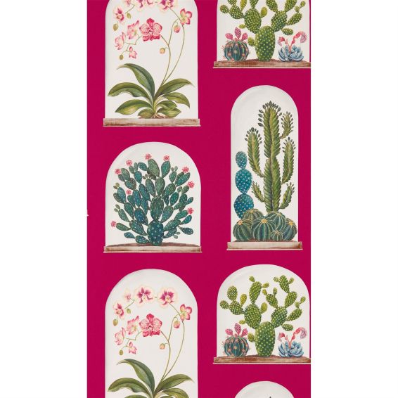 Terrariums Wallpaper 216657 by Sanderson in Rhodera Multi