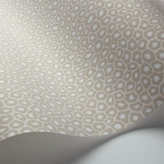 Senzo Spot Wallpaper 6030 by Cole & Son in Stone Grey
