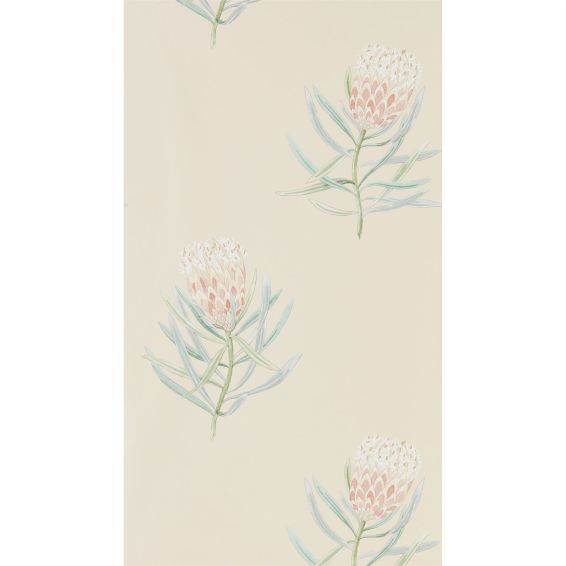 Protea Flower Wallpaper 216329 by Sanderson in Russet Green