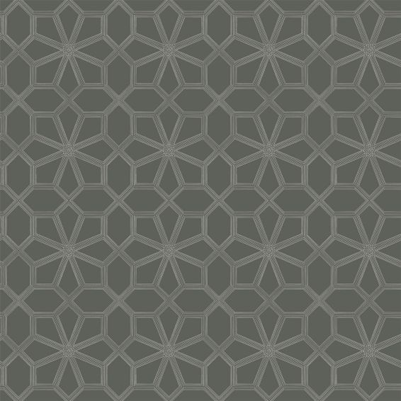Wolsey Stars Wallpaper 16037 by Cole & Son in Charcoal Grey