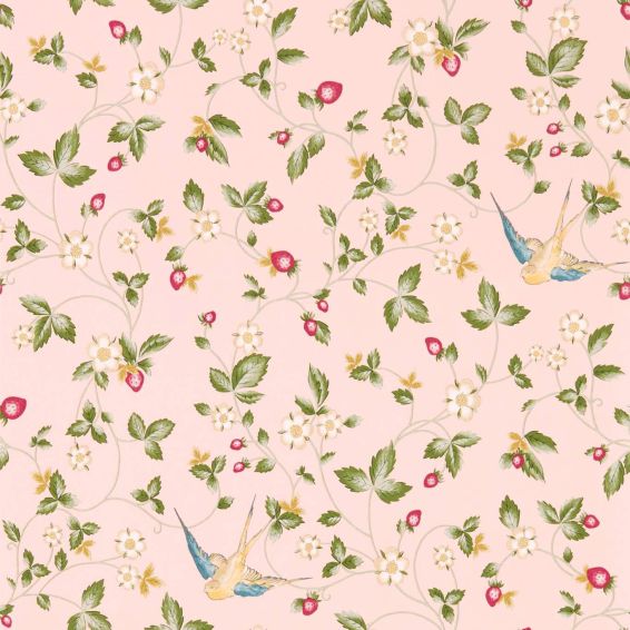 Wild Strawberry Wallpaper W0135 01 by Wedgwood in Blush