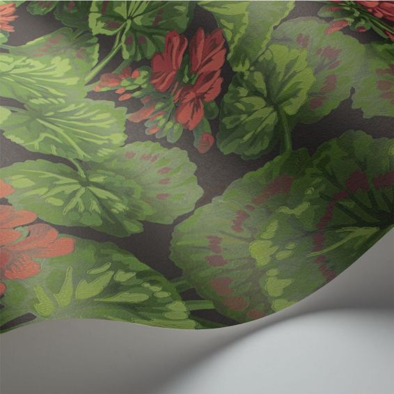 Geranium Wallpaper 11033 by Cole & Son in Charcoal Black