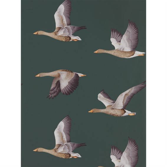 Elysian Geese Wallpaper 216608 by Sanderson in Amsterdam Green