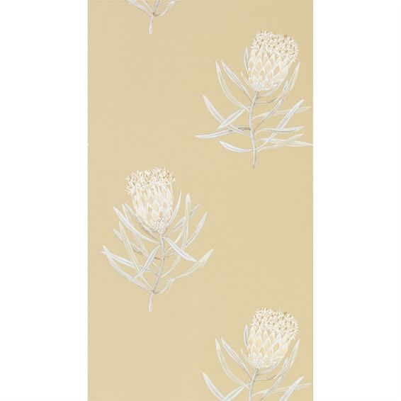 Protea Flower Wallpaper 216331 by Sanderson in Sepia Champagne