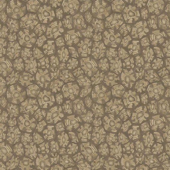 Savanna Shell Wallpaper 119 4020 by Cole & Son in Metallic Gilver Cedar Metallic Gold