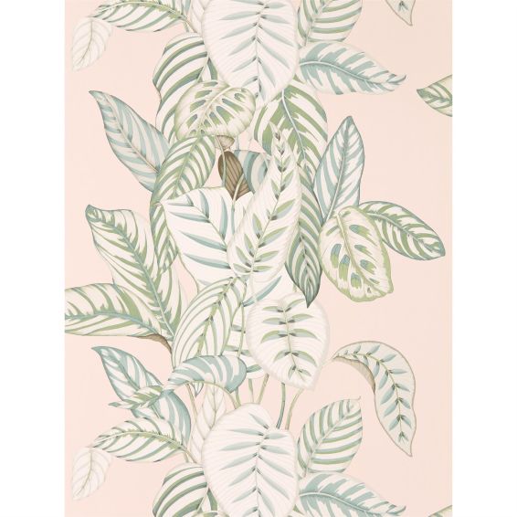 Calathea Wallpaper 216632 by Sanderson in Orchid Eucalyptus