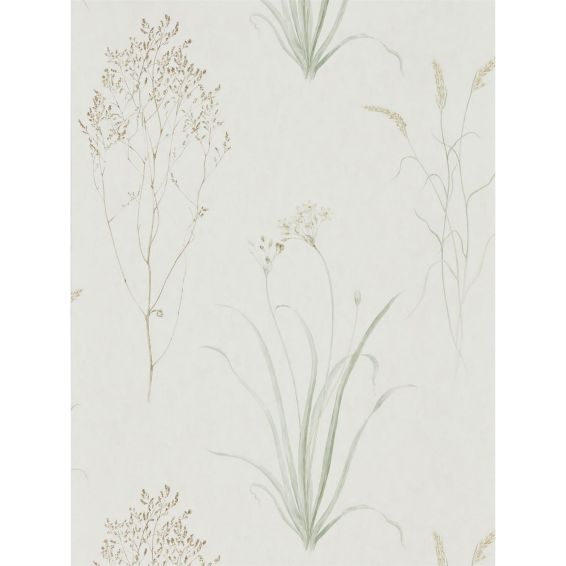 Farne Grasses Wallpaper 216488 by Sanderson in Willow Pebble Beige