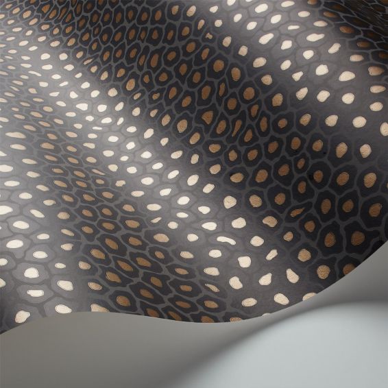 Senzo Spot Wallpaper 6032 by Cole & Son in Charcoal Grey