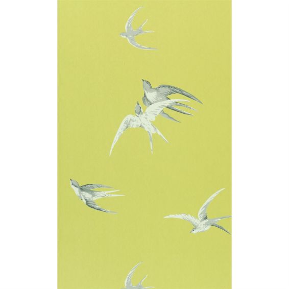 Swallows Wallpaper 101 by Sanderson in Lime Green