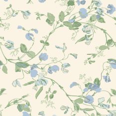 Sweet Pea Wallpaper 100 6031 by Cole & Son in Blue