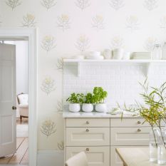 Protea Flower Wallpaper 216328 by Sanderson in Daffodil Natural