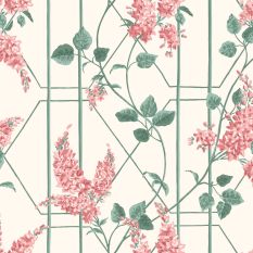 Wisteria Wallpaper 5012 by Cole & Son in Coral Orange Sage Green