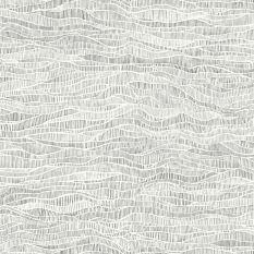 Meadow Wallpaper 13039 by Cole & Son in Soot Grey