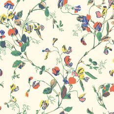 Sweet Pea Wallpaper 115 11032 by Cole & Son in Cream Multi