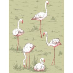 Flamingos Wallpaper 11038 by Cole & Son in Olive Green