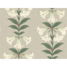 Angels Trumpet Wallpaper 117 3007 by Cole & Son in Stone Beige