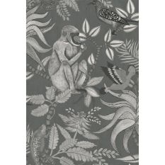 Savuti Wallpaper 1002 by Cole & Son in Soot Grey