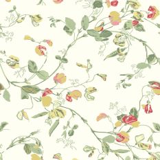 Sweet Pea Wallpaper 100 6027 by Cole & Son in Pink Yellow