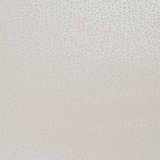 Isla Wallpaper W0093 04 by Clarke and Clarke in Ivory Pearl