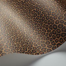 Senzo Spot Wallpaper 6028 by Cole & Son in Charcoal Ginger