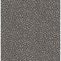 Senzo Spot Wallpaper 6031 by Cole & Son in Soot Snow