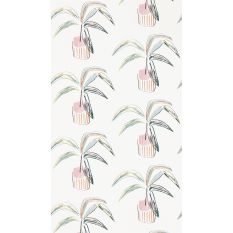 Crassula Wallpaper 111992 by Scion in Blush Mint Green