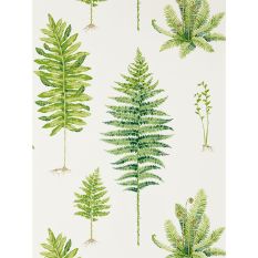 Fernery Wallpaper 216633 by Sanderson in Botanical Green