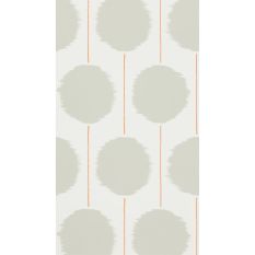 Kimi Wallpaper 110854 by Scion in Chilli Stone Grey