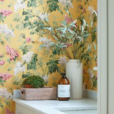 Sommerville Wallpaper 217051 by Sanderson in Carmen Daffodil