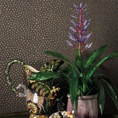 Senzo Spot Wallpaper 6032 by Cole & Son in Charcoal Grey