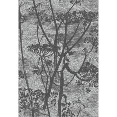 Cow Parsley Wallpaper 8026 by Cole & Son in Charcoal Grey