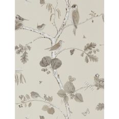 Woodland Chorus Wallpaper 215704 by Sanderson in Sepia Brown