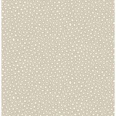Senzo Spot Wallpaper 6030 by Cole & Son in Stone Grey
