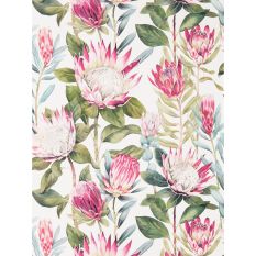 King Protea Wallpaper 216646 by Sanderson in Rhodera Cream