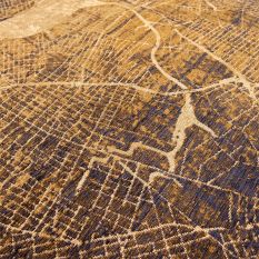 Louis De Poortere Designer New York Rugs in 9315 Gatsby Gold