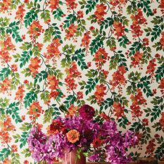 Bougainvillea Wallpaper 117 6016 by Cole & Son in Olive Green
