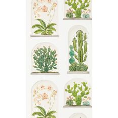 Terrariums Wallpaper 216655 by Sanderson in Chalk Green