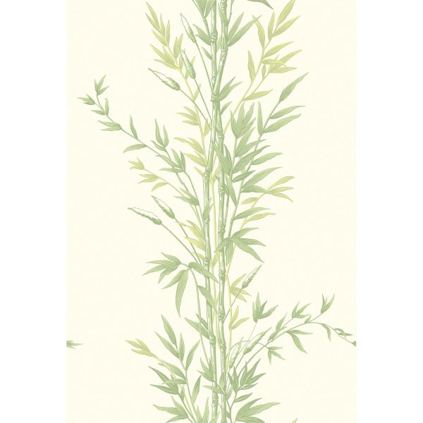 Bamboo Wallpaper 100 5023 by Cole & Son in Green