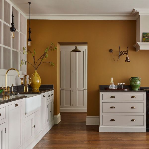 Elite Emulsion Paint by Zoffany in Muddy Amber